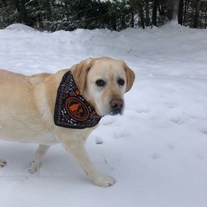 Meet your Posher, Heidi